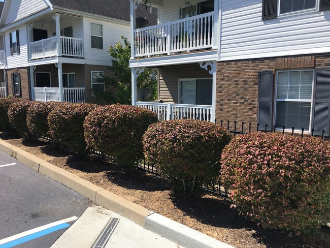 Building Photo - 123 Saravalle Dr