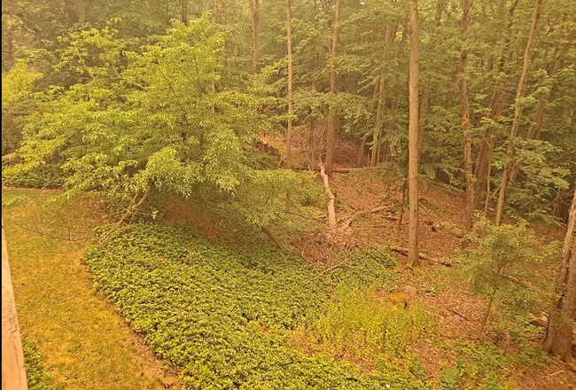 Building Photo - 1104 Murray Hill Rd