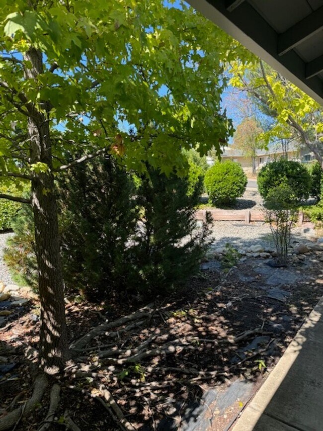 Building Photo - 3 Bedroom in North Redding on Greenbelt
