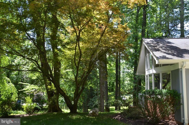 Building Photo - 8500 Beech Tree Rd