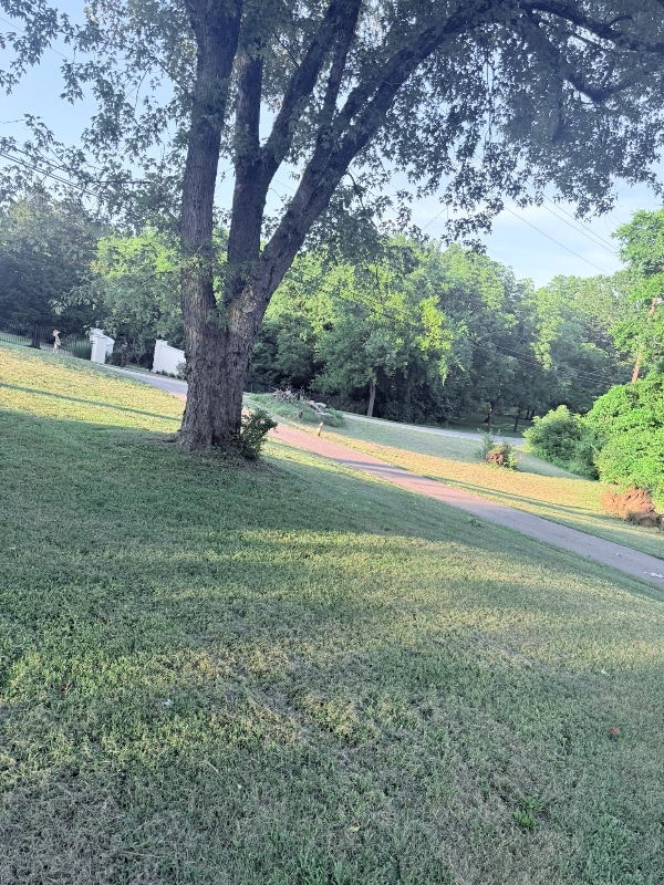 Foto del edificio - 1315 Bell Grimes Ln