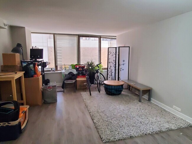 living room - 549 N McClurg Ct
