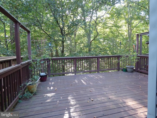 Foto del edificio - 7710 Blueberry Hill Ln