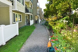 Primary Photo - Burien Park
