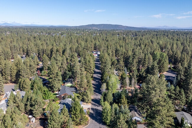 Stunning aerial view of Deschutes River Woods—nature's beauty meets community charm!