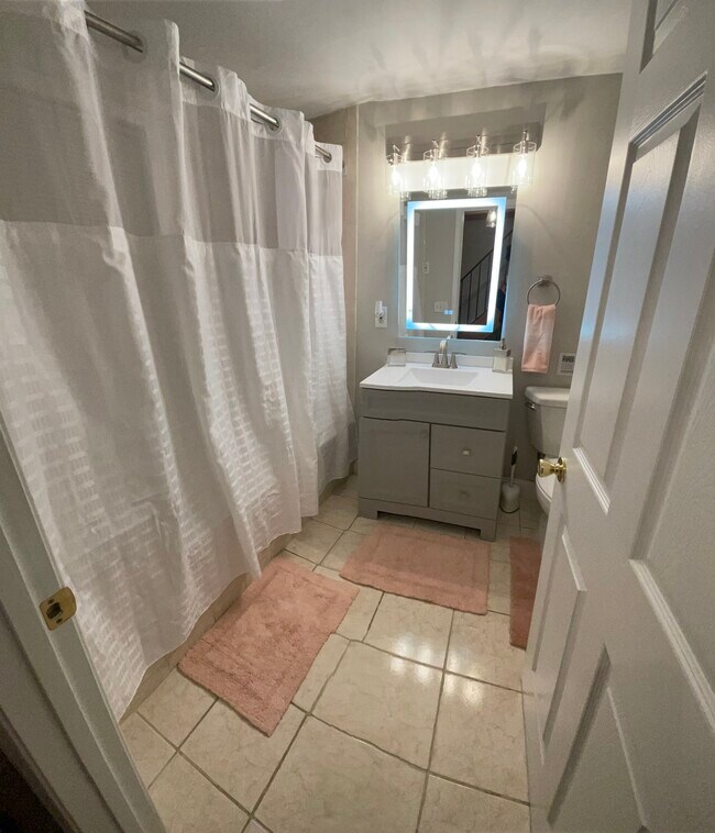 Main bathroom - 409 S Wolfe St