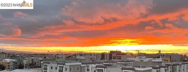 Foto del edificio - 311 Oak St