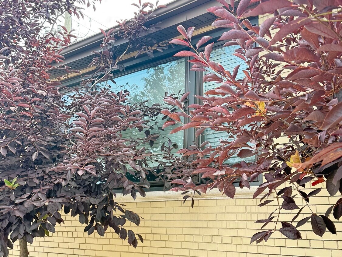 Primary Photo - 4201 W 55th St