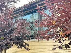 Building Photo - 4201 W 55th St