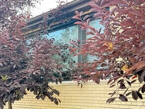 Building Photo - 4201 W 55th St