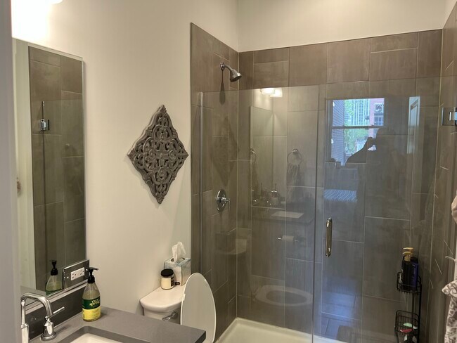 Baño principal - 161 W Schiller St