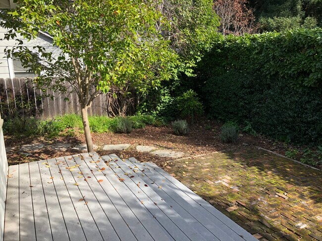 Patio trasero - 820 Palo Alto Ave