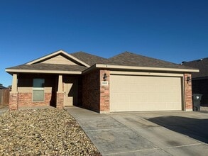 Building Photo - 1001 E 95th St