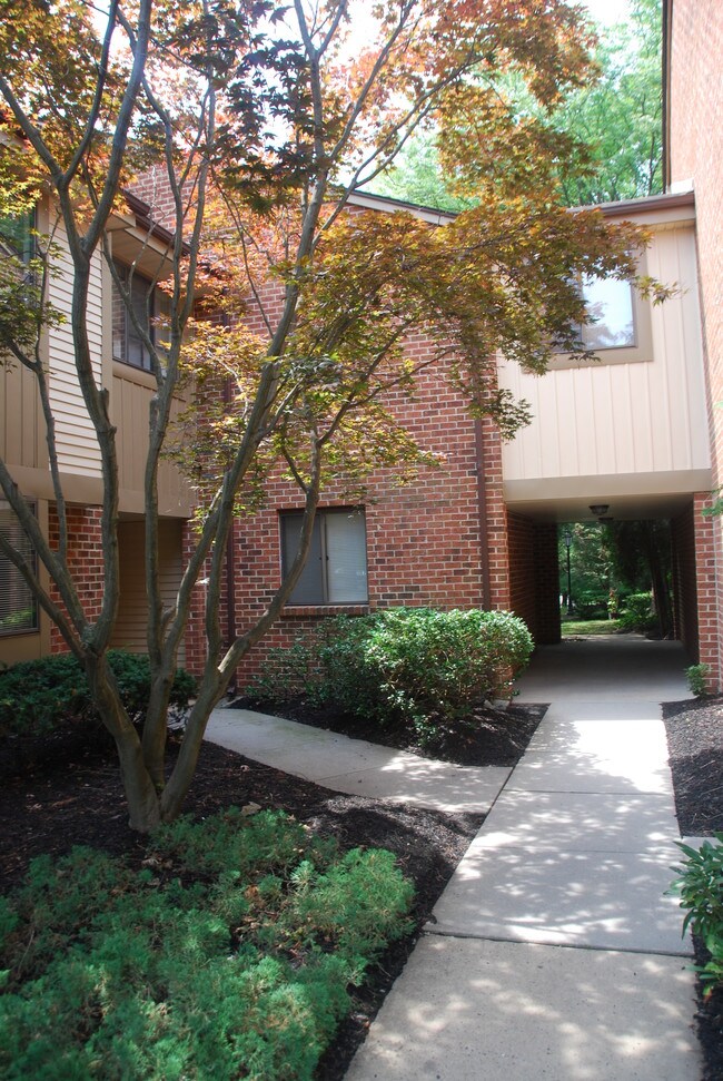 Entrada principal - 103 Cypress Point Circle