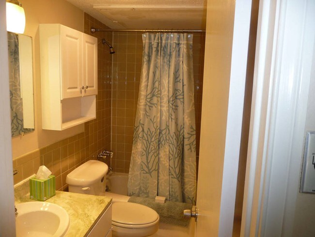 Full Tub and Shower - 5808 Sandhurst Ln