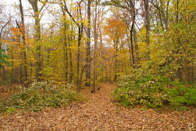 Trails are an enjoyable amenity of Wintergreen Woods Park in the Wethersfield neighborhood.