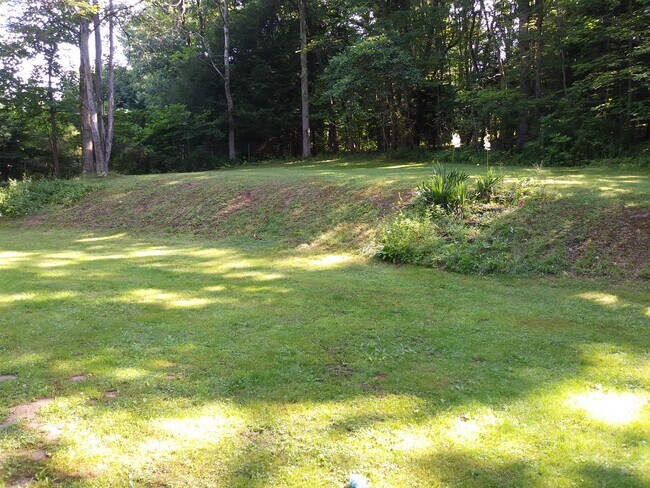 Backyard - 117 Fern Hollow Rd