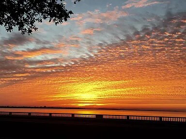 Primary Photo - 2807 Bayshore Blvd