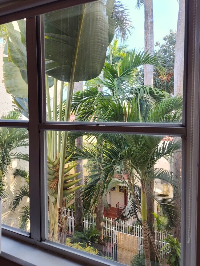 Vista al jardín - 900 16th St