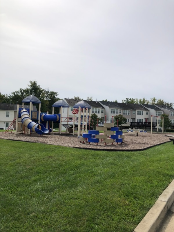 Building Photo - 4875 Atlas Cedar Way