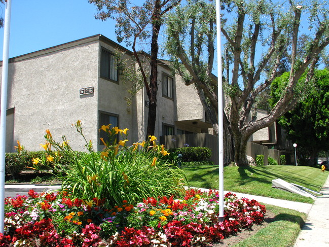 Lush Landscaping - Spring Tree Apartments