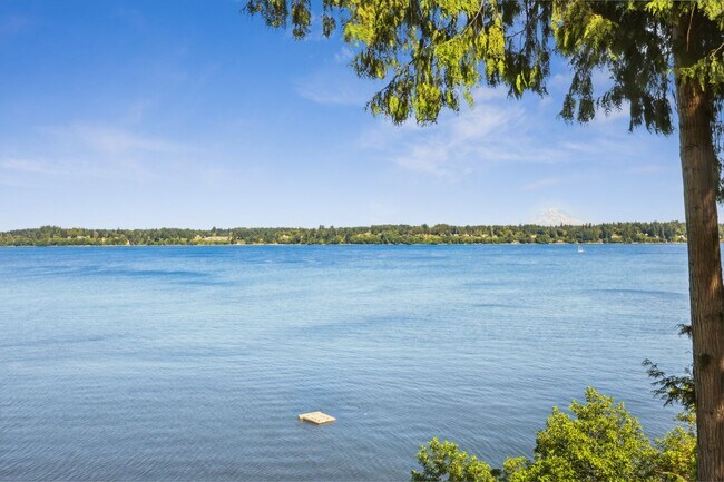 Foto del edificio - Stunning 3,146 Sq. Ft. Olympia Waterfront ...