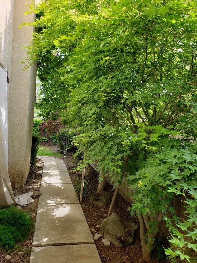 Foto principal - 2054 Pinehurst Ct