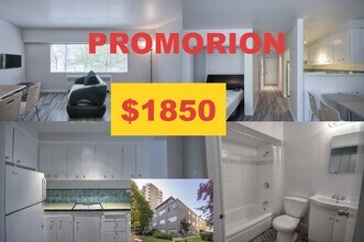 Building Photo - 1540 Haro St