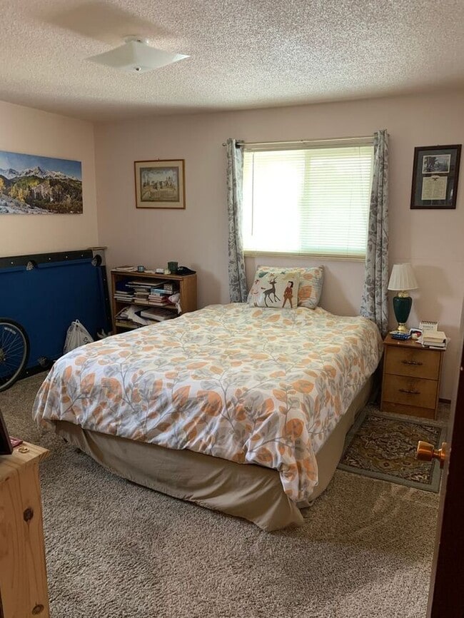 Foto del edificio - 2 Bedroom, 1 bath condo in Loveland