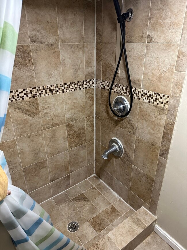 Standing shower - 208 Nunda Ave