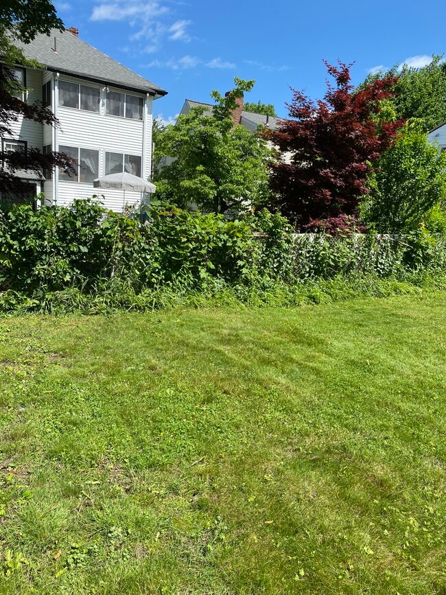 backyard - 93 Fairmont St