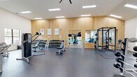 Located at 4400 SW 20th Ave in Gainesville, FL, this single-floor fitness center offers a generously sized exercise space designed to accommodate a wide range of workout styles and fitness goals. The facility is divided into distinct training zones, each thoughtfully appointed with quality equipment and purposeful design.

The strength training area features warm natural wood panel accent walls, rubber flooring, high ceilings with recessed and linear lighting, ceiling fans, and large wall-mounted mirrors. It is equipped with a power rack with free weights, multiple adjustable benches, a comprehensive dumbbell rack, and cable machines. A mounted television provides entertainment during workouts.

The cardio zone transitions into a brighter, airy section with soaring ceilings, arched transom windows that allow abundant natural light, and polished concrete floors. A row of True elliptical trainers, treadmills, and stationary bikes line this area, accompanied by decorative botanical wall art that adds a light aesthetic touch.

A dedicated functional fitness zone offers rowing machines, plyo boxes, TRX suspension trainers, medicine balls, kettlebells, and battle rope accessories. A striking full rock climbing wall serves as a dramatic focal point in this section, catering to those seeking dynamic, vertical training. The facility's layout and varied equipment make it a comprehensive destination for fitness enthusiasts of all levels.
