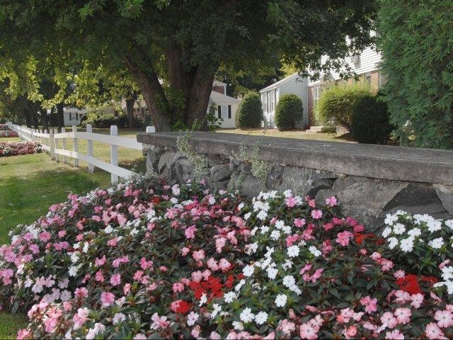 Foto del edificio - Chicopee Village Townhomes