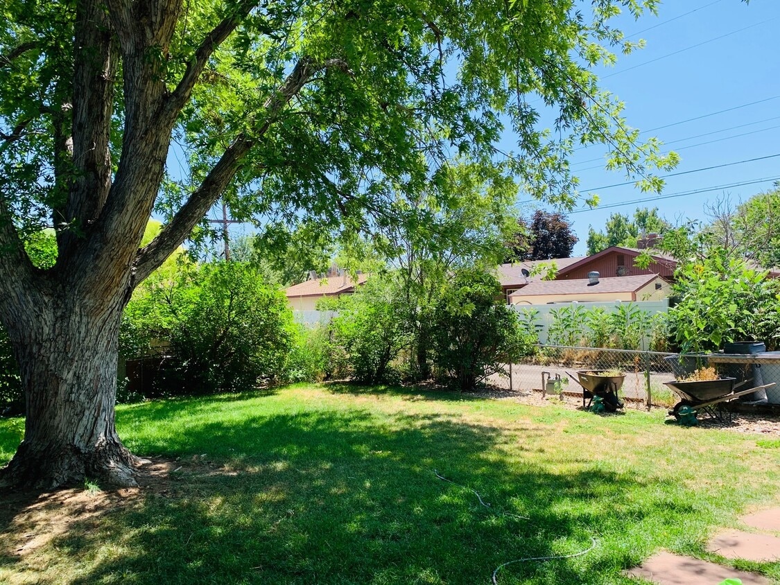 Primary Photo - 3 Bedroom, 2 Bath Ranch Home with 1 Car At...