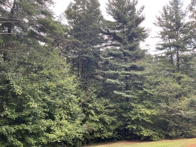 Foto del edificio - 44 Beach Crest Rise