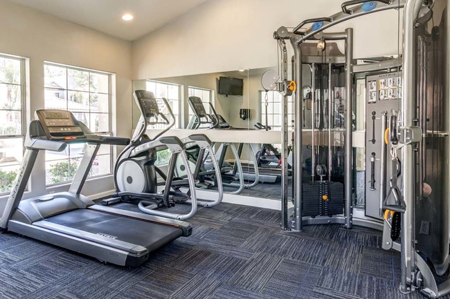 Fitness Center - The Palms