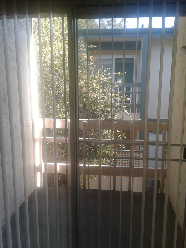 patio delantero - 1417 Terra Nova Blvd