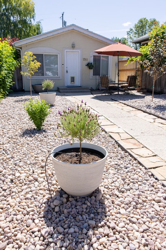 Front + Landscaping - 1745 Lake St (Salt Lake City, UT)