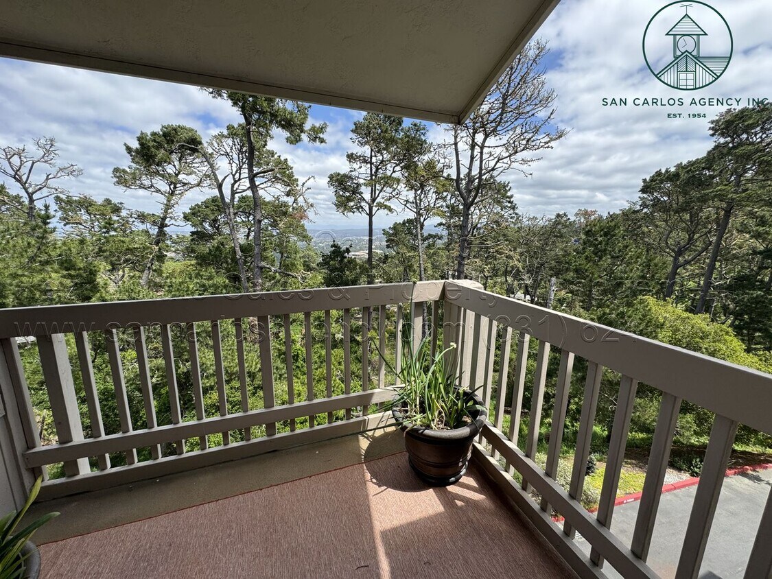 Primary Photo - Immaculately Updated Three Bedroom Shepher...