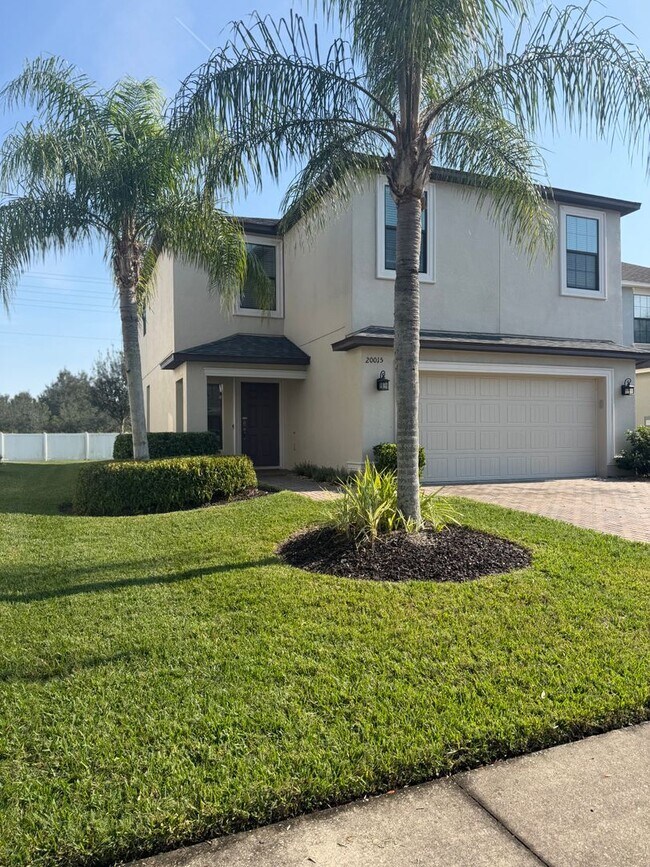 Foto del edificio - Beautiful Home in the Gated Community of Live Oak – New Tampa