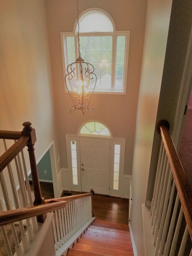 Foto del edificio - Large 2 story transitional in Birkdale