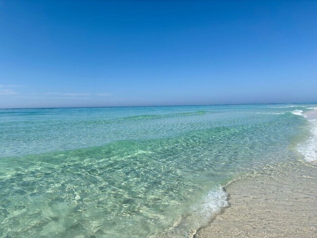 Building Photo - 4000 Gulf Terrace Dr