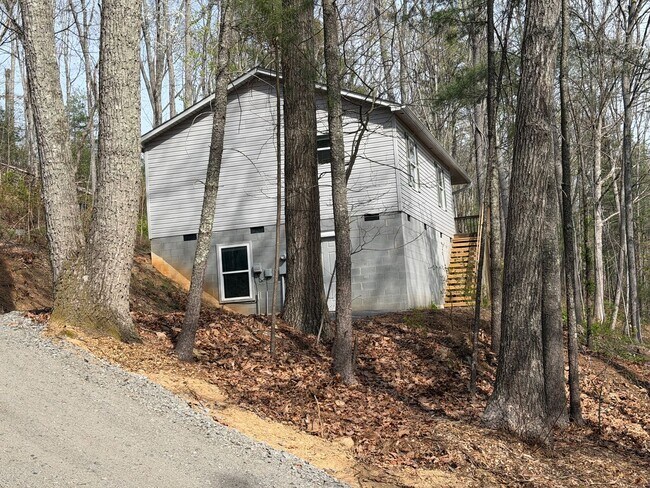 Foto del edificio - East AVL - Wooded Lot, Three Bedrooms