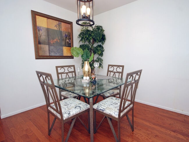 Dining Room - 31 Steeplechase Ct