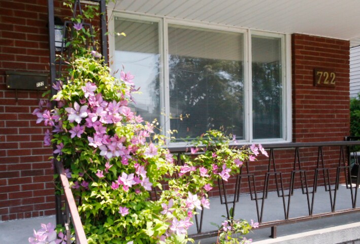 Photo principale - 722 Murray Crescent
