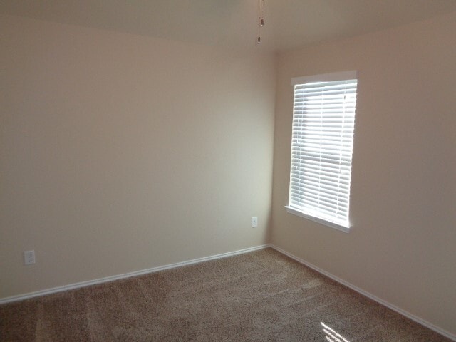 Foto del edificio - 20211 Ray Falls Dr
