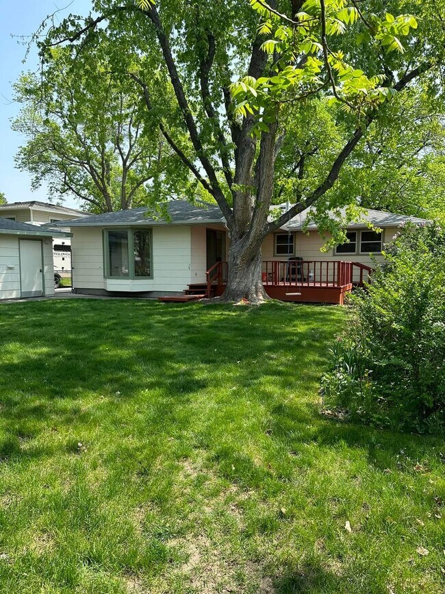 Backyard - 2212 Brentwood Ln
