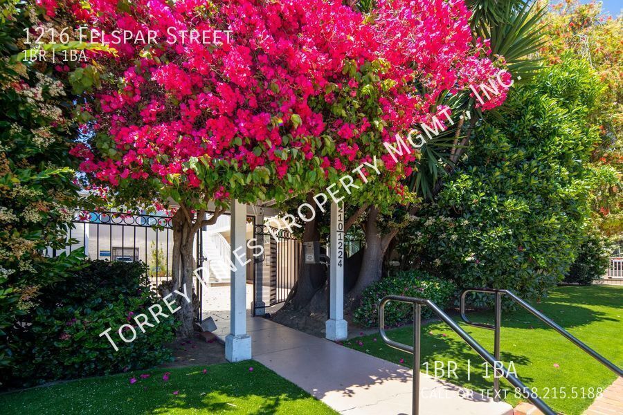 Foto principal - Perfectly Located 1 Br in Pacific Beach!