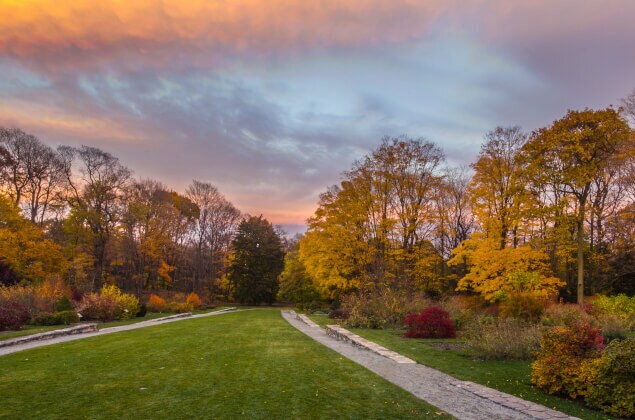 The sun setting over Arnold Arboretum