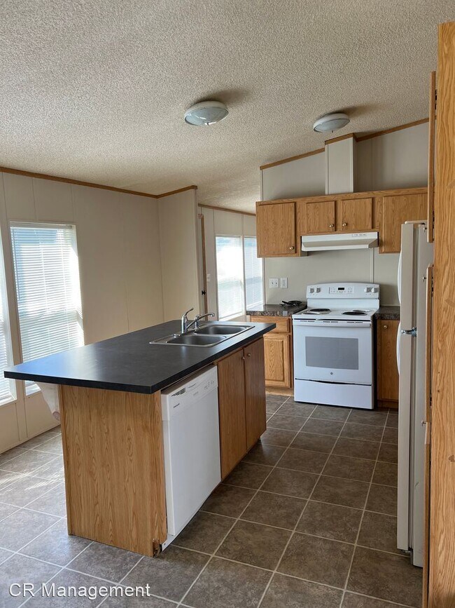 Building Photo - 3 br, 2 bath House - 217 Silver Maple Dr.
